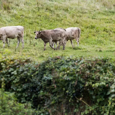 Stunning In Prázdninový dům
